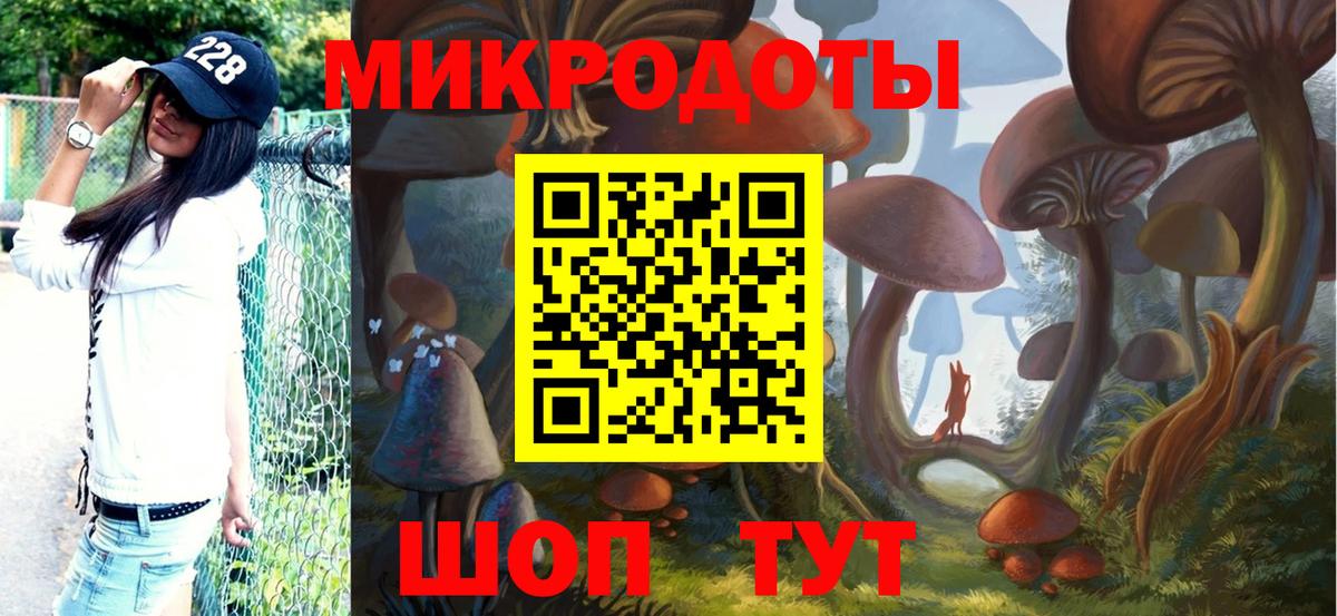Галлюциногенные грибы прущие грибы Раменское