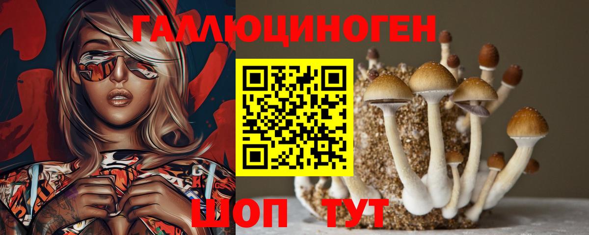 Псилоцибиновые грибы Magic Shrooms  Вход с VPN  Раменское 